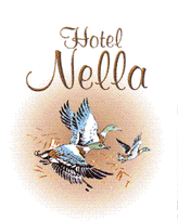 nella_web0.gif (14679 byte)